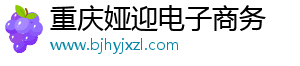 重庆娅迎电子商务